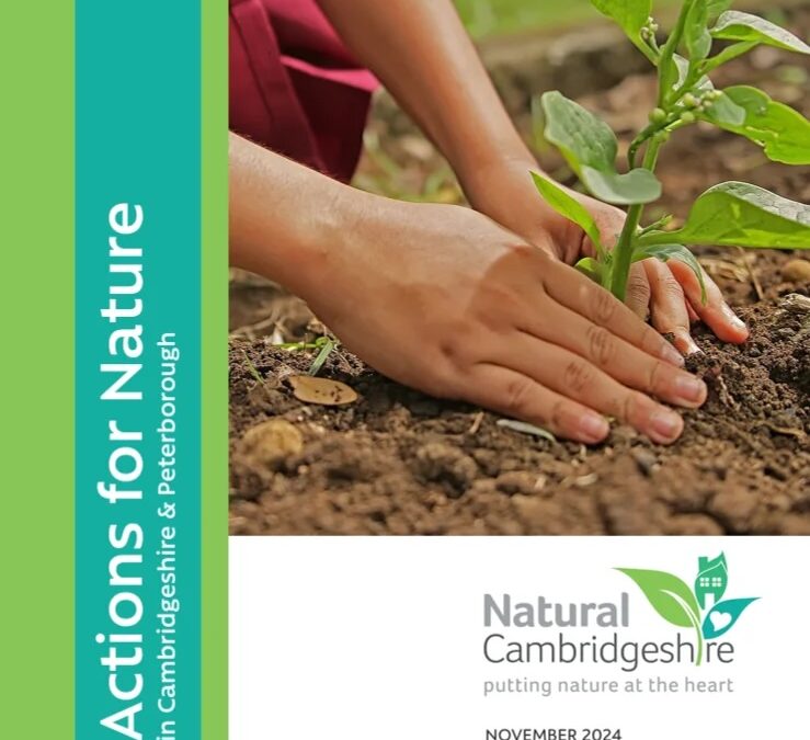 Actions for Nature in Cambridgeshire & Peterborough Report 2024