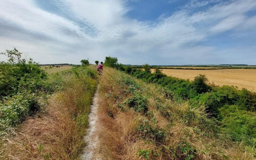 FLEAM DYKE – The Wildlife Trust for Bedfordshire, Cambridgeshire and Northamptonshire
